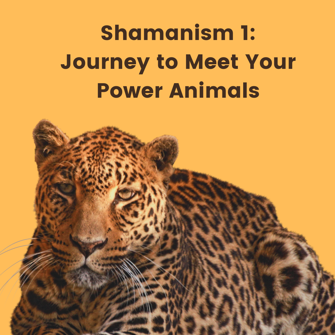 Shamanism 1 Journey to Meet Your Power Animals