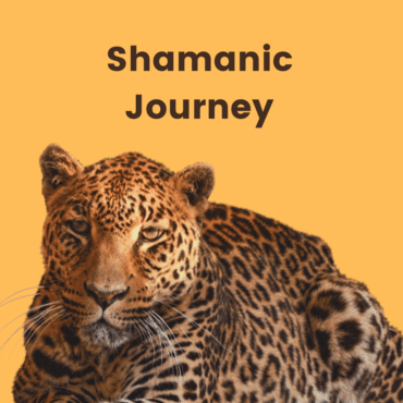 Shamanism Level 1: Introduction to Shamanic Journeying…Find Your Power Animals​